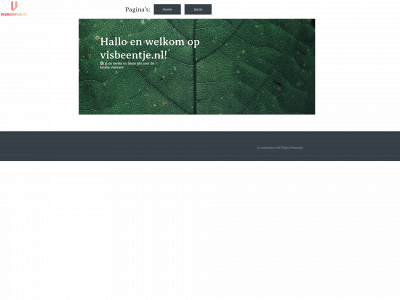 visbeentje.nl snapshot