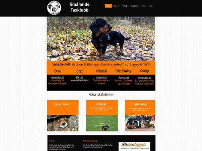 smalandstaxklubb.se snapshot