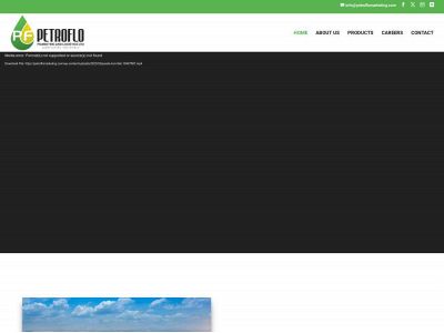 petroflomarketing.com snapshot