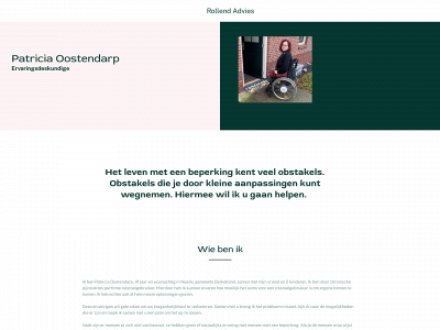 rollendadvies.nl snapshot