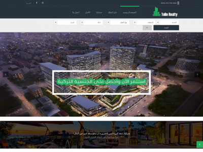 toberealty.com snapshot