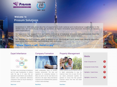 prosumsolutions.ae snapshot