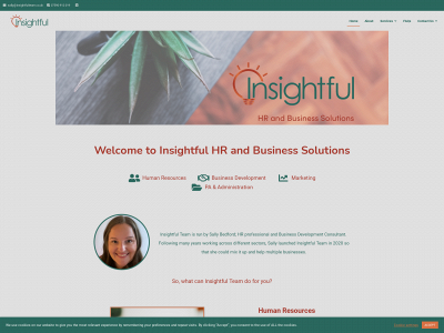 insightfulteam.co.uk snapshot