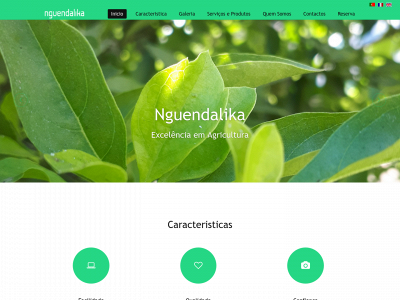 nguendalika.com snapshot