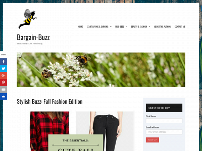 bargain-buzz.com snapshot