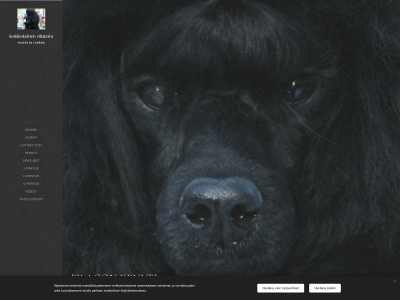filagon.fi snapshot