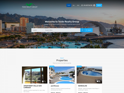teiderealtygroup.com snapshot