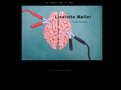 liselottemoeller.dk snapshot