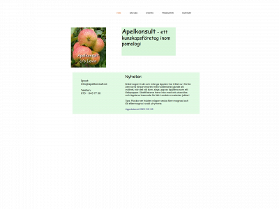apelkonsult.se snapshot