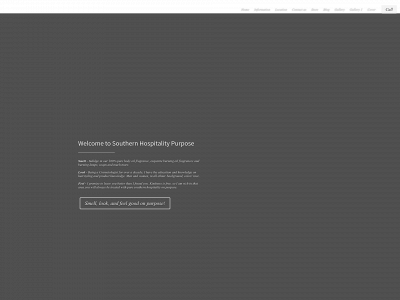 southernhospitalitypurpose.com snapshot