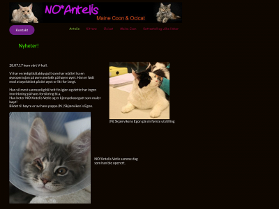 antelis.no snapshot