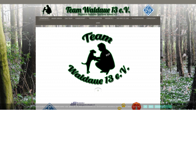 team-waldaue13.de snapshot