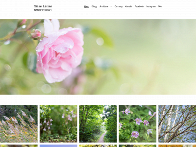 sissellarsen.com snapshot