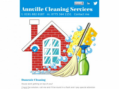 annvillecleaningservices.co.uk snapshot