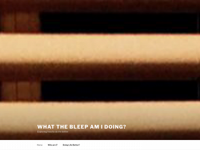 whatthebleepamidoing.com snapshot
