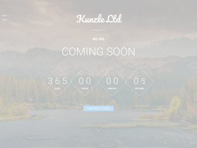 kunzleltd.co.uk snapshot