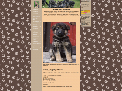 rustadmoen.com snapshot