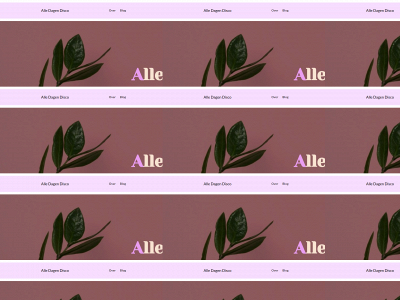 alledagendisco.nl snapshot