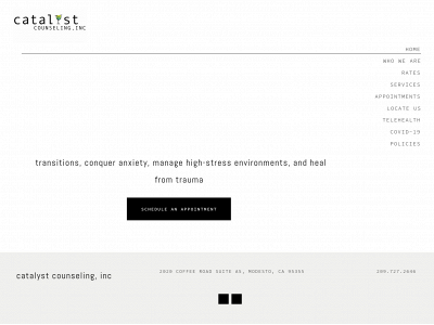 catalystcounselinginc.com snapshot