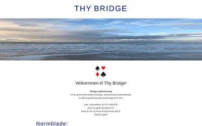 thybridge.dk snapshot