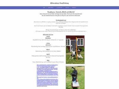 447048.se snapshot
