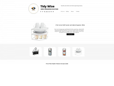 tidywisesolution.com snapshot