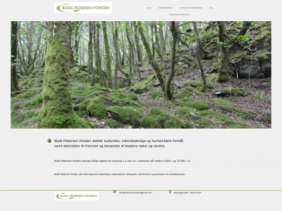 bodilpedersenfonden.dk snapshot