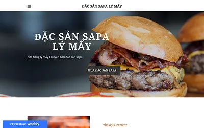 dacsansapa.weebly.com snapshot