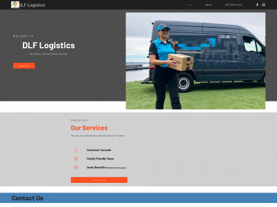 dlflogistics.com snapshot