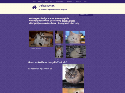 stallos.org snapshot