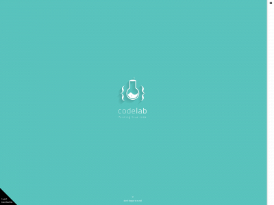 codelab.lt snapshot