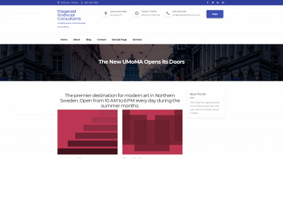 fitzgeraldfinancialconsultants.com snapshot