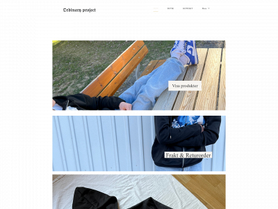 ordinaryproject.se snapshot