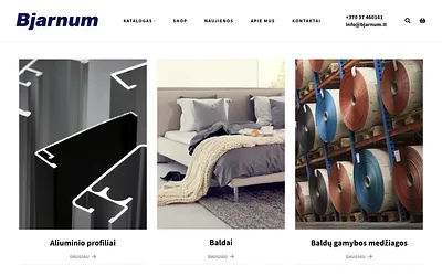 bjarnum.lt snapshot