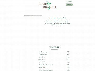hairbranch.se snapshot
