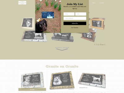 www.stoneartusa.com snapshot