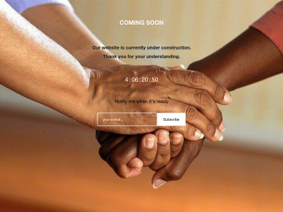 adlocalsolutions.org snapshot