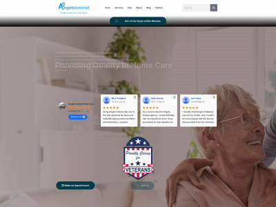 angelsinstead.com snapshot
