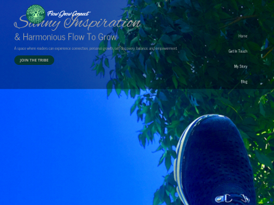 flowgrowconnect.com snapshot