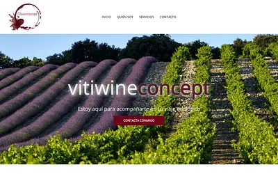 vitiwineconcept.com snapshot
