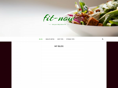 fit-now.today snapshot