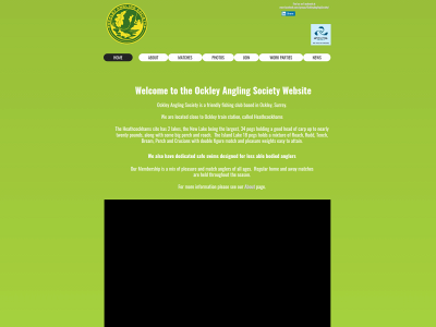 ockleyas.co.uk snapshot