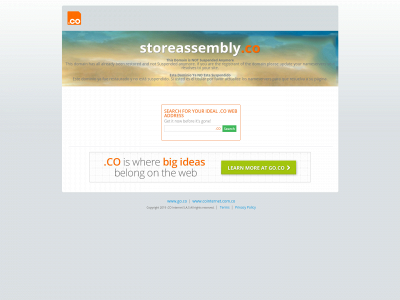 storeassembly.co snapshot