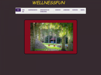 wellnessfunenlogies.com snapshot