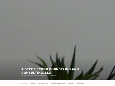 astepbeyondcounseling.com snapshot