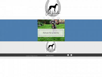 bellsdjurhalsa.se snapshot