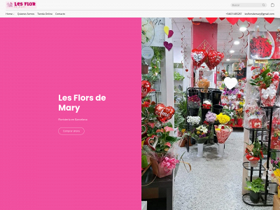 lesflorsdemary.com snapshot