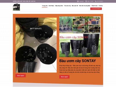 bauuomcaysontay.com snapshot