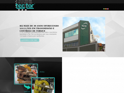 tector.com.br snapshot