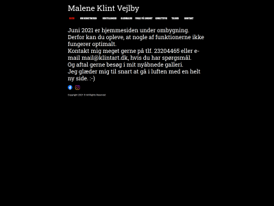klintart.dk snapshot